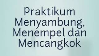 Perkembangbiakan Vegetatif Buatan Menyambung Menempel dan Mencangkok [upl. by Begga]