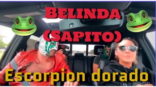 Belinda SAPITO🐸 con Escorpión Dorado [upl. by Supat947]