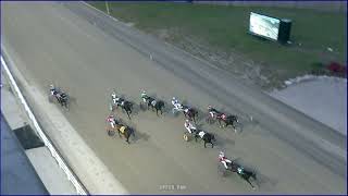 Western Fair Monday Oct282024 Race 2 Inquiry on horse 7 [upl. by Pich]