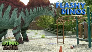 Stay Flashy Amargasaurus  Dino Dan Treks Adventures  Best of Dino Kids [upl. by Ttoile309]