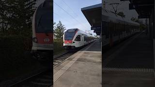 S6 in Riehen Niederholz sbb cff ffs sbahn stadler trainspotting railway schweiz shorts yt [upl. by Cypro30]