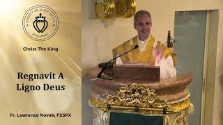 Regnavit A Ligno Deus  Sermon by Fr Novak 29 Oct 2023 [upl. by Einnus]