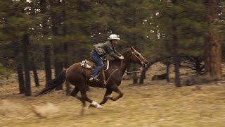 Horseback Riding near Bryce Canyon  Slow Motion [upl. by Bleier]