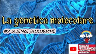 La genetica molecolare Lezione 9 concorso classediconcorsoA050 scienzebiologichesintesiproteica [upl. by Ennaerb855]