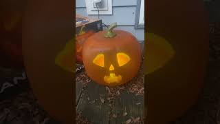 Jabberin Jack O Lantern Singing Halloween Decor [upl. by Sucramad]