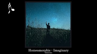 Homeomorphic  Imaginary [upl. by Yboc]