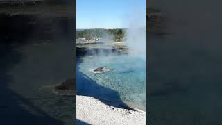 Yellowstone National Park – Nature’s Wonderland [upl. by Donal]