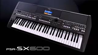 32  Halvány őszi rózsa  COVER Yamaha PSR SX 600 [upl. by Analahs]