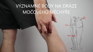 Významné akupresurní body na dráze močového měchýře jejich lokalizace a použití [upl. by Aksehcnarf]