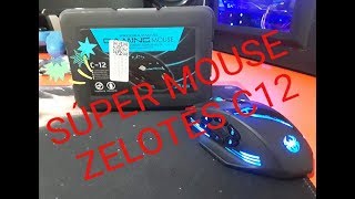 Mouse Zelotes C12 [upl. by Gibbons]