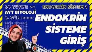 6 Endokrin Sisteme Giriş  Endokrin Sistem  11 Sınıf Biyoloji  2024 AYT Biyoloji Kampı 6 Gün [upl. by Aible]