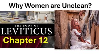 Leviticus Chapter 12 NRSV Why women are unclean [upl. by Naejarual892]