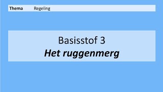 VMBO 4  Regeling  Basisstof 3 Het ruggenmerg  8e editie [upl. by Aniale]