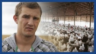 How migrants were trafficked to work on Britain’s freerange farms  Guardian Features [upl. by Penrod]