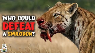 6 Animals That Could Have Killed a Smilodon [upl. by Japha]