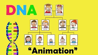 DNA DEOXYRIBONUCLEIC ACID  Biology Animation [upl. by Mashe]