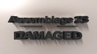 Assemblage 23  Damaged REMIX [upl. by Toogood]