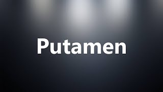 Putamen  Medical Definition and Pronunciation [upl. by Asselam]