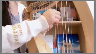 Walter Lyre Harp 19String With Levers Semitone Key Lyre Instrument lyreharp harps [upl. by Einial]