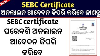 How to Apply SEBC Certificate Online In Odia  SEBC Certificate Apply Online Odisha 2024 [upl. by Aliakam]