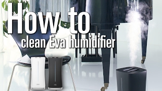 How to clean Eva humidifier [upl. by Aida]