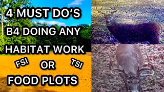 4 MUST DOS B4 HABITAT WORK OR FOOD PLOT WORK CAN BE DONE ON UR DEER HUNTING FARM [upl. by Sifan99]