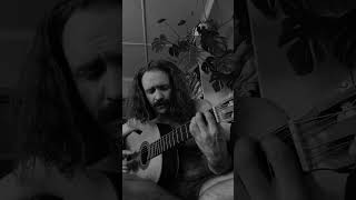 Dunkelheit  Burzum  Acoustic cover by Leiv Reed [upl. by Perceval]