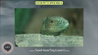 Herpetophobia  Phobias Fears and Anxieties 😲😱🤪 [upl. by Dnamra]