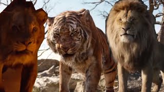 Mufasa and Scar vs Shere khan [upl. by Whiney]