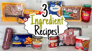 3 INGREDIENT DINNERS  5 Cheap amp Easy Meals You Only Need 3 Ingredients to Make  Julia Pacheco [upl. by Bricker438]