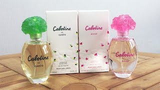 Gres Cabotine Perfume Spray 8211 Marys Mart [upl. by Linsk]