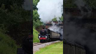 Steam Train 73082 Camelot emerges from Sharpthorne tunnel [upl. by Loftis]