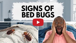 How To KNOW You Have BED BUGS [upl. by Lleynod250]