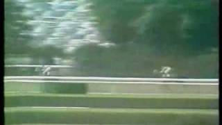 Secretariat in the 1973 Belmont  ET Flying Theme [upl. by Schoening289]