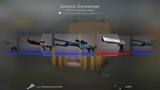 2x Deagle Printstream  CSGO Case Opening [upl. by Drexler]