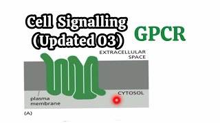 Cell Signalling Updated 03  GPCR Line by Line🧬 [upl. by Darya]