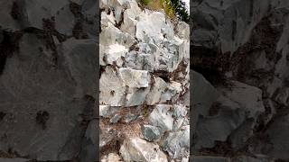 Rock Boulder Along a Scenic Washington Trail nature shorts trending [upl. by Nalak369]