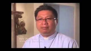 What is Late Vocation Holy Apostles Senior Seminarympg [upl. by Gwenette]