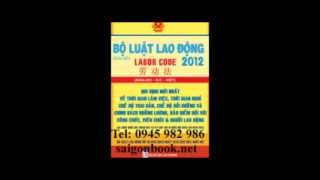 vietnam labor code 2012 revised [upl. by Luaped]