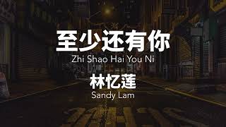 至少还有你 Zhi Shao Hai You Ni  林忆莲 Sandy Lam ChinesePinyin Lyrics video [upl. by Ailekahs]