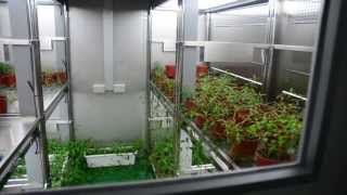 Taiwan HiPoint SINICA Institute growth chamber [upl. by Agatha970]