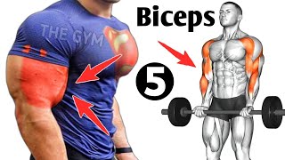 5 Best Exercises For Bigger Biceps Workout  fitness in Home [upl. by Matthew415]