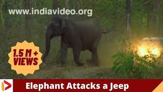 Wild Elephant Attacks a Jeep in Jungle  Kerala India [upl. by Etoile961]