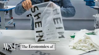 How Shein Built a 66B FastFashion Empire  WSJ The Economics Of [upl. by Arraeic]