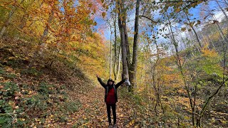 Exploring Osterode Hiking amp Camping ⛺️ [upl. by Warrick]