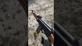 Chiappa RAK22 ak47 22lr rifle guns ak74 rimfire [upl. by Ymmit283]