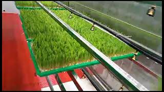 Hydroponic fodder grass peasture growing machine [upl. by Gaylord]