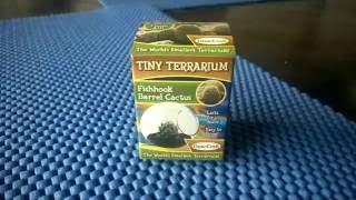 Tiny Terrarium  Fishhook Barrel Cactus [upl. by Engedus]