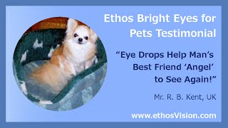 Ethos Bright Eyes Drops for Pet Cataracts Testimonial Review Video [upl. by Now710]