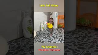 Monkey NANA takes a plastic duck to take a bath monkeybaby shorts monkeyNANA monkeydluffy [upl. by Reidar]